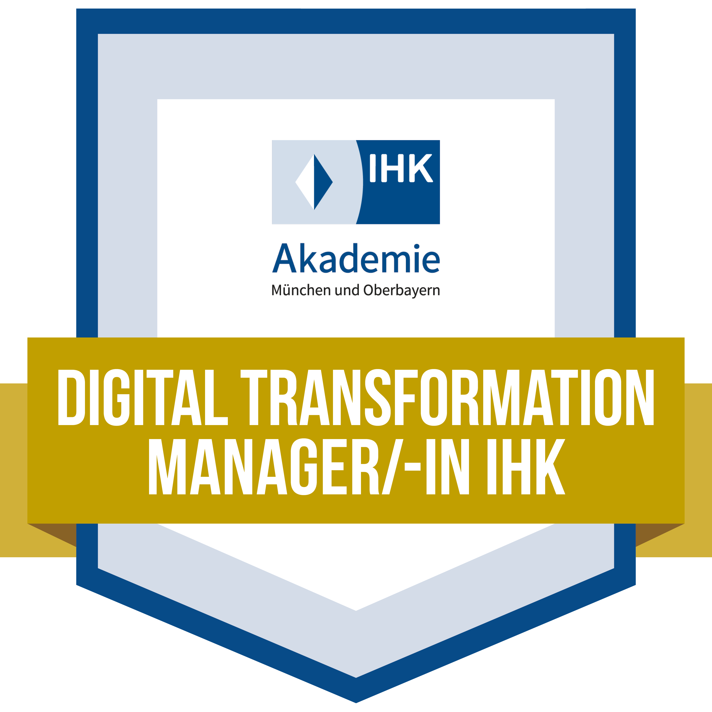 Digital Transformation Manager Digital Transformation Manager